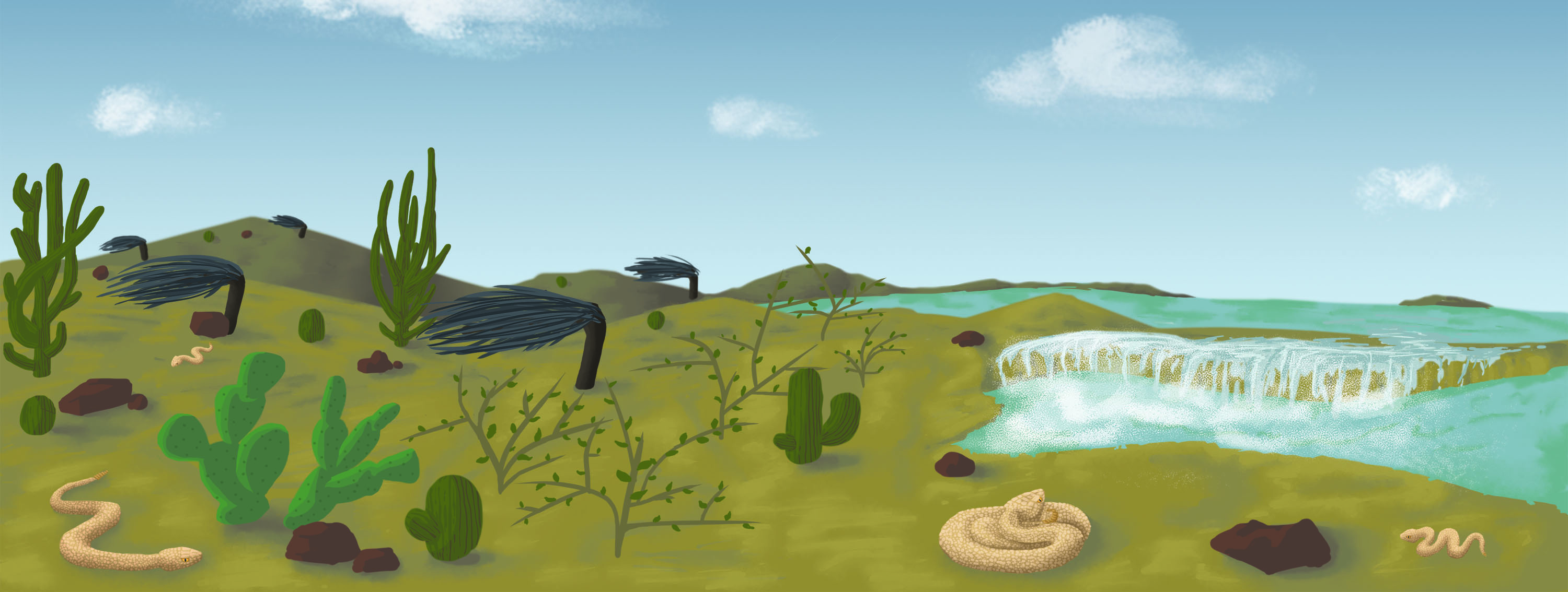 Crotalus durissus unicolor banner illustration
